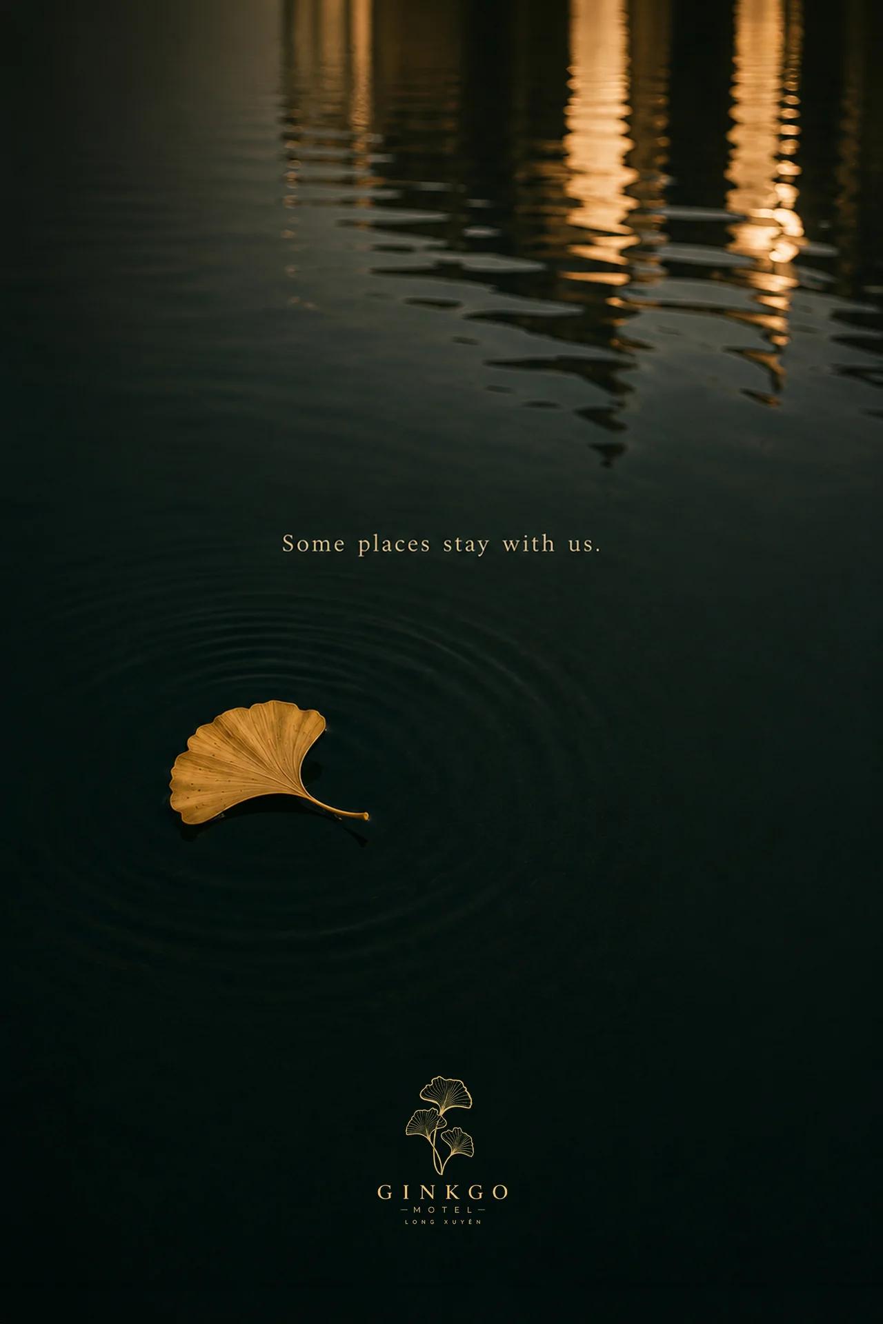 Some places stay with us. A ginkgo leaf on the water's surface.
