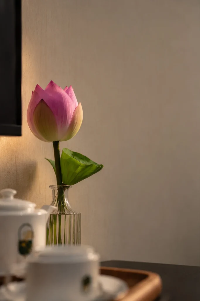 Hình ảnh Single Room tại Ginkgo Motel